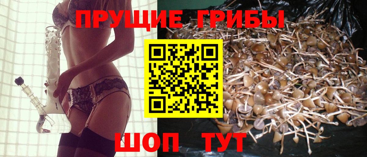наркота  Псилоцибиновые грибы Psilocybine cubensis  Вход с VPN  Железноводск 